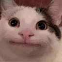 t_al