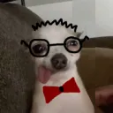 datdatdatdatdatdat