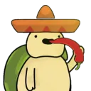 spicyturtle
