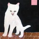 maur. avatar