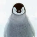 penguin3000