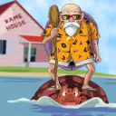 turtlehermit2467