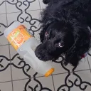 hiugregg