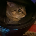 Discord Avatar