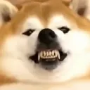 vramvrim