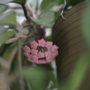 vibergs#3703's avatar