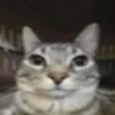 dakir0000
