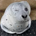 juliuscool