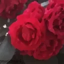enigmaticrose4