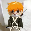 shaneydog
