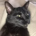 3cisdead
