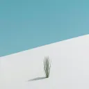 jas.per__