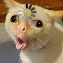 loonyashadayz