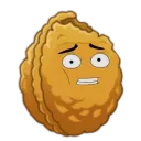 walnut6 avatar