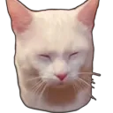 gg_onion
