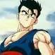 dbzgohan