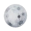 obeygrey