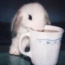 avatar Apl moi l'ovni la lettre ou le J