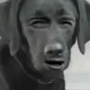 neyoz08