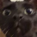 asianfury94