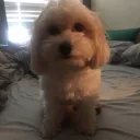 shaun0's Avatar