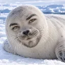 icepickplays