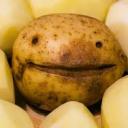 POTATO#4935 POTATO