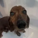 isabellaaaaaaa