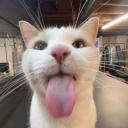 avatar jolly wander 🎄