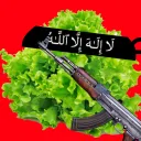 lettucetwice