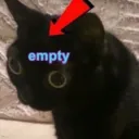rappcats