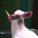 mothmuppet