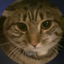 avatar Daringlobster34