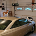 avatar Daringlobster34