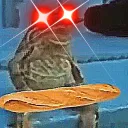 filebert