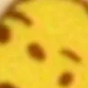 skoalaleonhart