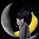 jakoliath