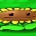 avatar literal sunflower from pvz