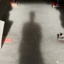 yogicat