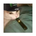 maybeflex
