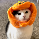 dobpinkler39701 member profile picture