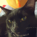 four420twenty's Avatar