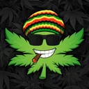 kyle_kush