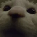 willowwisp___