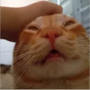 leodlcg