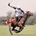 halofloof0455