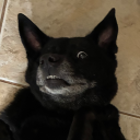 avatar Bojo