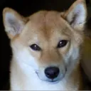 jimbobkr18
