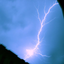 avatar Blossom-Curse