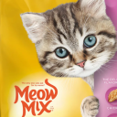 meow_mix_ member profile picture